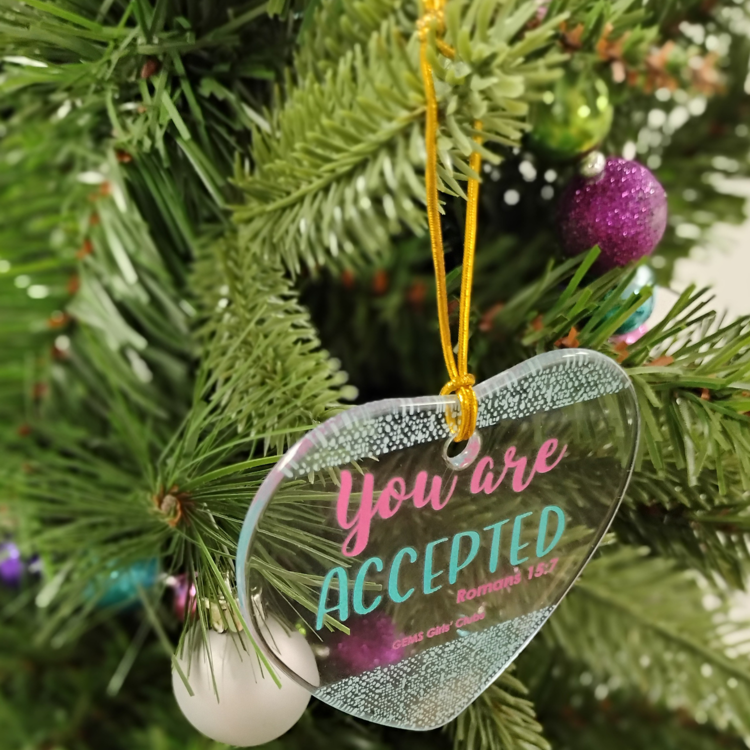 Accepted Sun Catcher Ornament - Image 2